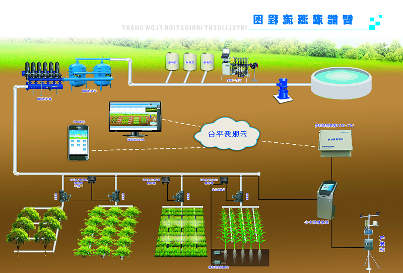 灌溉流程图.png